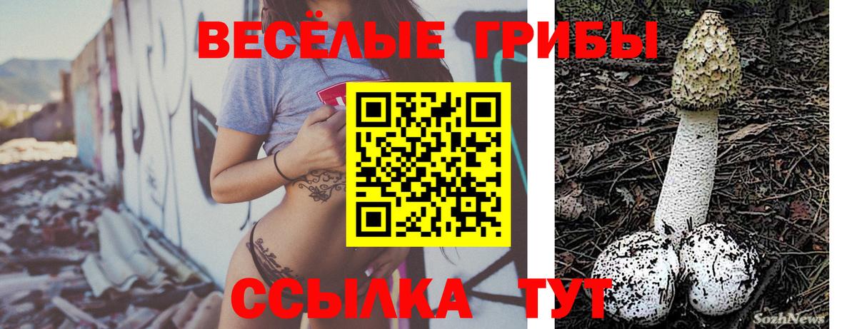 Ипатово  Галлюциногенные грибы ЛСД  Вход с VPN 