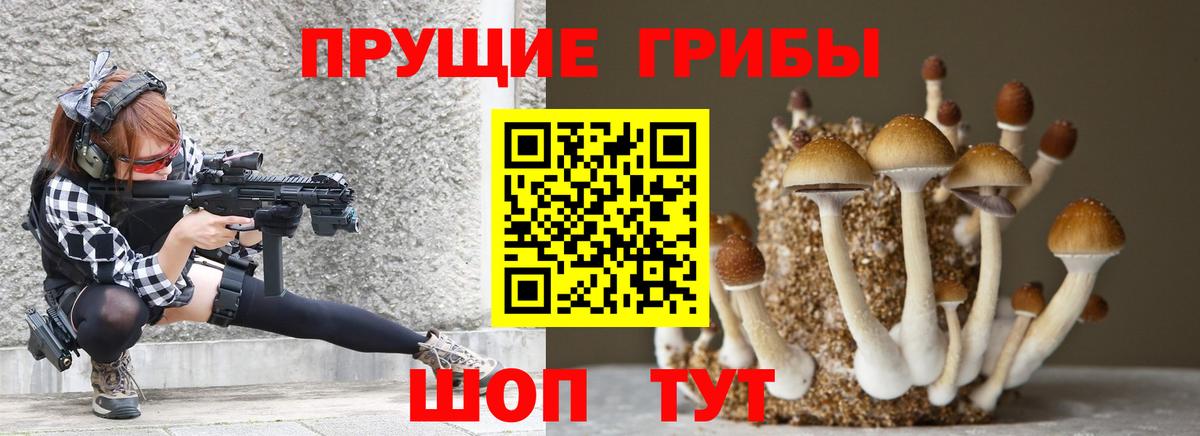 Псилоцибиновые грибы ЛСД Ипатово